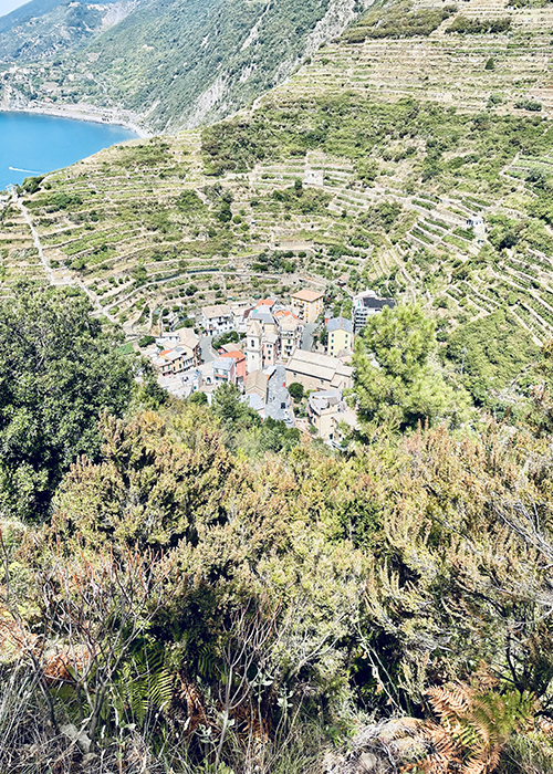 Manarola