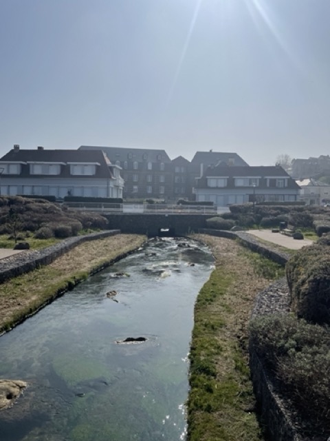 Le fleuve La Veule serpente paisiblement à travers les champs verdoyants avant de se jeter dans les vagues de la mer à Veules-les-Roses, un charmant village côtier.