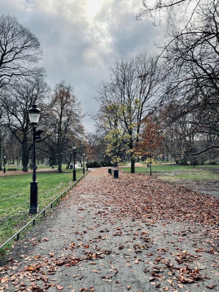 Le parc Humlegården est l'un des plus grands espaces verts de Stockholm, en Suède. Cette photo capture la beauté naturelle et paisible de ce parc urbain, avec ses vastes pelouses, ses allées bordées d'arbres et son petit lac paisible. On peut y voir des familles se détendre sur l'herbe, des joggeurs traverser les allées et des promeneurs flâner le long des sentiers de randonnée. Le parc Humlegården est également connu pour ses magnifiques jardins et ses sculptures, notamment la statue de Carl von Linné, célèbre naturaliste suédois. Cette photo reflète l'atmosphère détendue et sereine du parc, où l'on peut échapper au rythme effréné de la vie urbaine et se ressourcer en plein air.