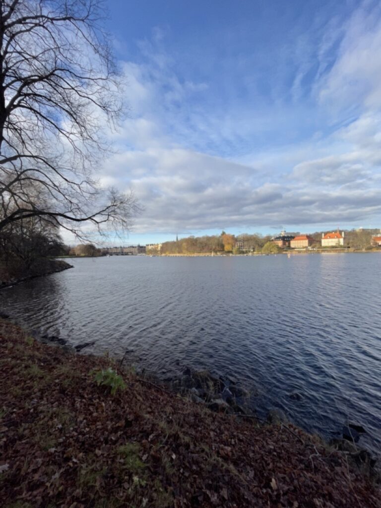 Offrez-vous une escapade nature en plein coeur de Stockholm avec cette photo du parc de Djurgarden. Avec ses vastes étendues de verdure, ses sentiers sinueux et ses points de vue imprenables sur la ville, ce parc est un véritable havre de paix au milieu de l'agitation urbaine. Explorez les multiples chemins à pied ou à vélo, ou détendez-vous tout simplement sur l'herbe en admirant la beauté de la nature environnante. En été, le parc de Djurgarden se transforme en lieu de rassemblement pour les familles et les amis, avec de nombreux événements et activités en plein air. Une oasis de calme et de sérénité en plein coeur de la ville.