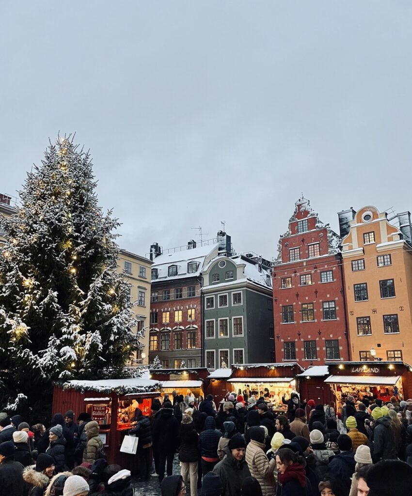 Cette photo saisit l'ambiance magique du marché de Noël de Stockholm. Les lumières scintillantes et les décorations colorées créent une ambiance chaleureuse et festive, tandis que les étals vendant des cadeaux de Noël traditionnels ajoutent une touche d'authenticité. L'odeur des gaufres et du vin chaud flotte dans l'air, ajoutant une dimension gustative à cette expérience inoubliable. Ce marché de Noël est un lieu de rencontre pour les habitants et les touristes, tous réunis pour célébrer les fêtes de fin d'année dans une ambiance joyeuse et conviviale.