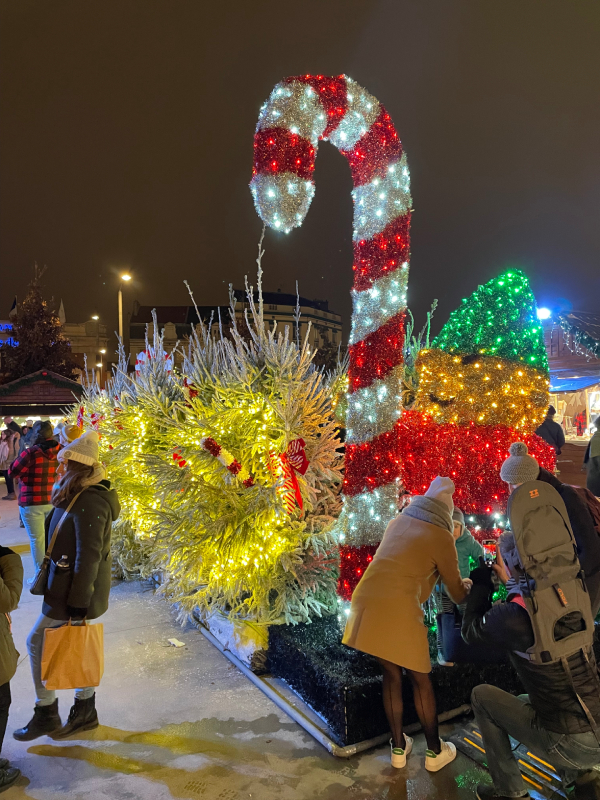 Le marché de Noël de Reims est l'un des plus grands et des plus célèbres de France, attirant chaque année des visiteurs venus du monde entier. Ce marché traditionnel, installé sur la Place d'Erlon et dans les rues alentour, crée une ambiance festive et chaleureuse dans la ville.En flânant entre les chalets en bois décorés de guirlandes lumineuses, vous pourrez découvrir une grande variété de produits artisanaux, de décorations de Noël, de gourmandises locales et de vins chauds parfumés. Vous pourrez également profiter de nombreuses animations, telles que des concerts, des spectacles pour enfants et des défilés de Noël. Le marché de Noël de Reims est une expérience unique à ne pas manquer pour tous les amoureux de la magie de Noël. Que vous soyez en quête d'idées cadeaux ou simplement à la recherche d'une ambiance festive et conviviale, vous trouverez tout ce que vous cherchez dans ce marché de Noël traditionnel. Capturez l'essence de la magie de Noël à Reims avec une photo du marché de Noël, témoignant de la beauté et de la chaleur de cet événement inoubliable.