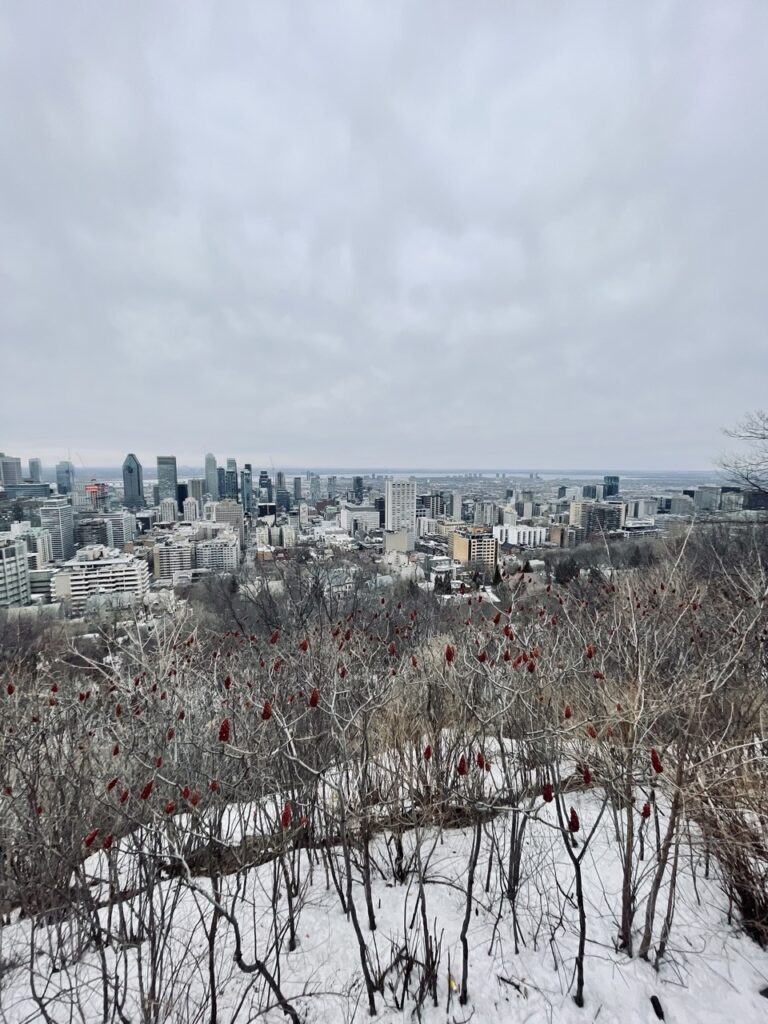Panorama époustouflant de la skyline de Montréal depuis le Belvédère Kondiaronk dans le Parc Mont-Royal, offrant une vue imprenable sur l'ensemble de la ville.