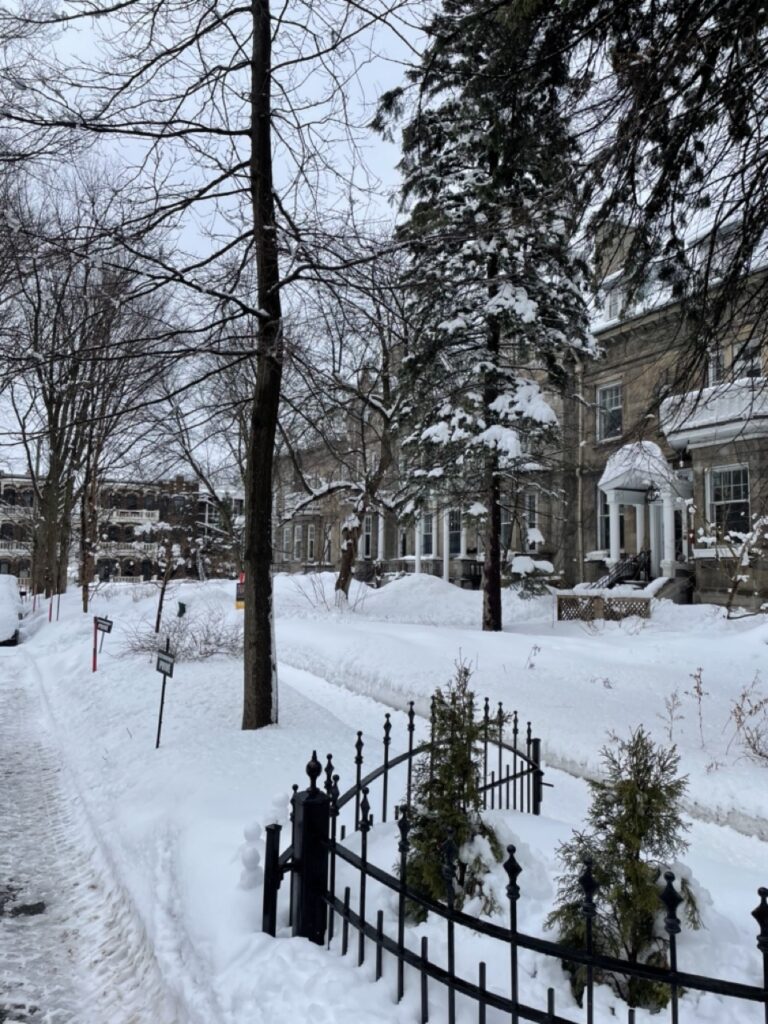 Atmosphère hivernale sur la route avec une maison enneigée à Québec City lors d'une promenade sous la neige menant aux plaines d'Abraham.